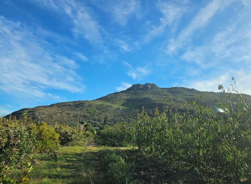 0 Bedroom Property for Sale in Franschhoek Western Cape